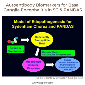 Syndenham Chorea PANS PANDAS etiology antibody