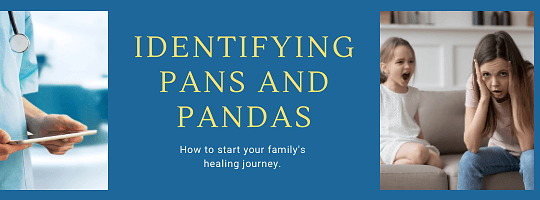 Masterclass – Identifying PANS and PANDAS: How to Start Your Family’s Healing Journey