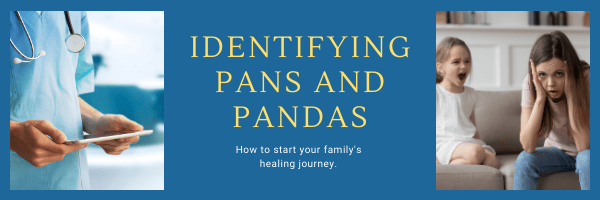 Masterclass – Identifying PANS and PANDAS: How to Start Your Family’s Healing Journey