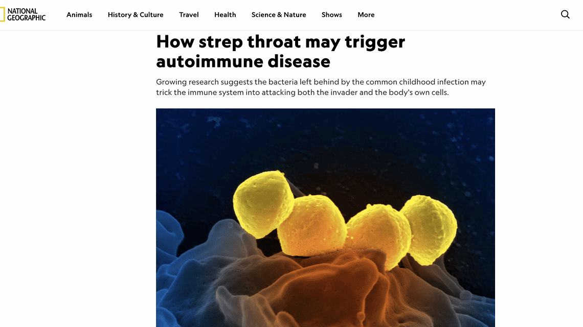 How strep throat may trigger autoimmune disease – National Geographic