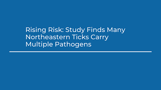 Rising Risk: Study Finds Many Northeastern Ticks Carry Multiple Pathogens