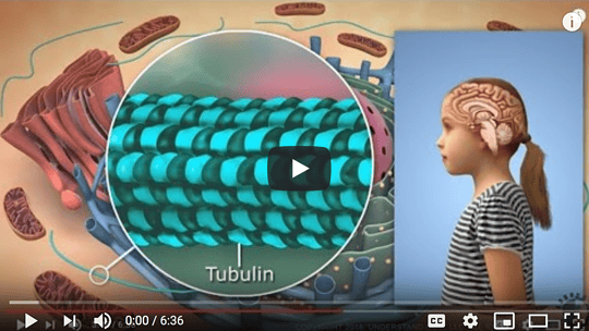 The Cunningham Panel of Tests